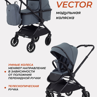 Коляска 2 в 1 Rant Vector