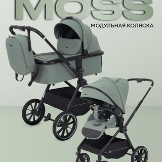 Коляска 2 в 1 Rant Moss 